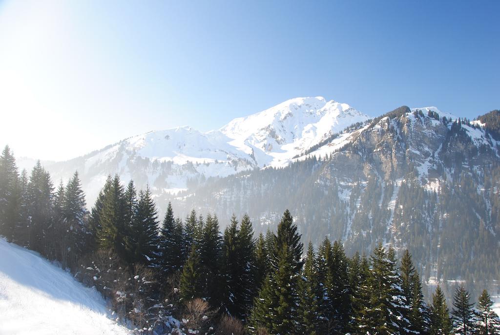 Hotel Les Combelles Châtel Екстериор снимка